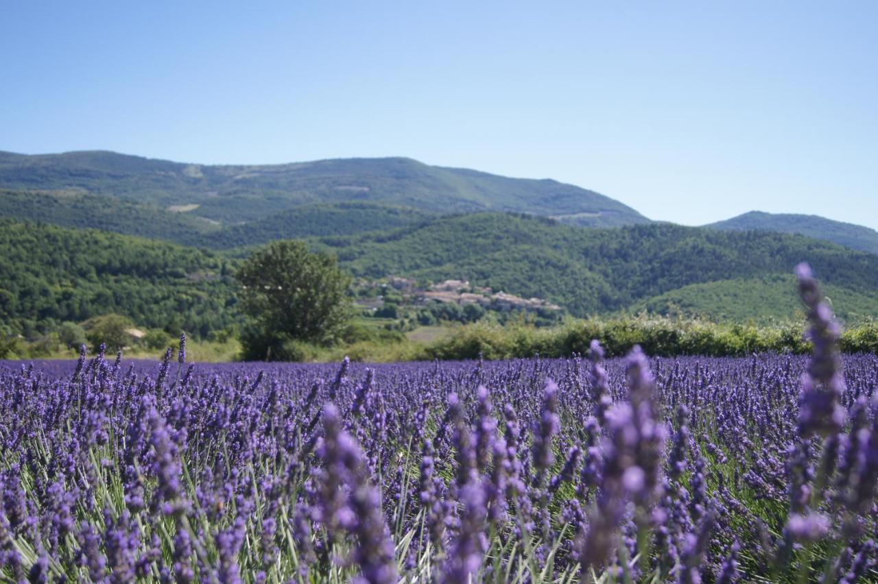 克拉维里尔酒店 Saint-Auban-sur-lʼOuvèze 外观 照片